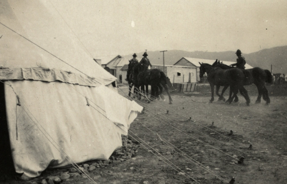 Photo from page 03 of album WWI Photograph Album - New Zealand, Egypt and Gallipoli