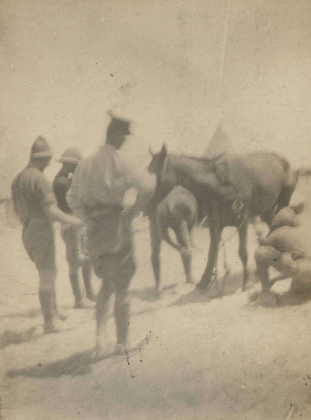 Photo from page 04 of album WWI Photograph Album - New Zealand, Egypt and Gallipoli