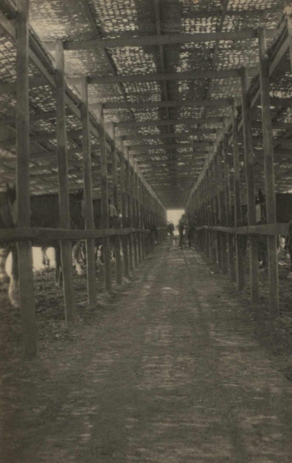 Photo from page 05 of album WWI Photograph Album - New Zealand, Egypt and Gallipoli