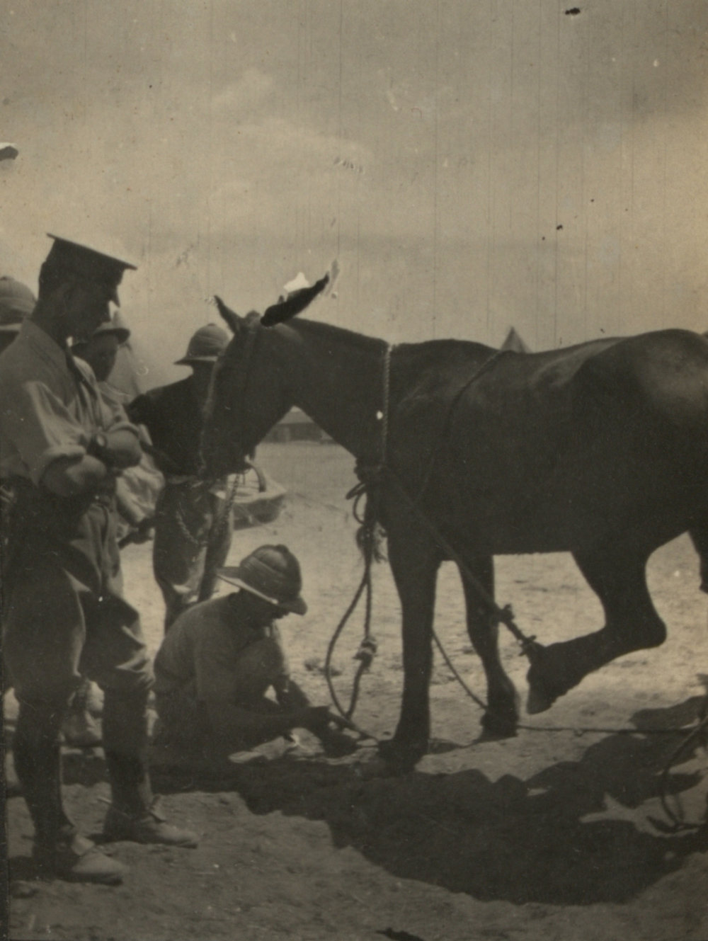 Photo from page 05 of album WWI Photograph Album - New Zealand, Egypt and Gallipoli