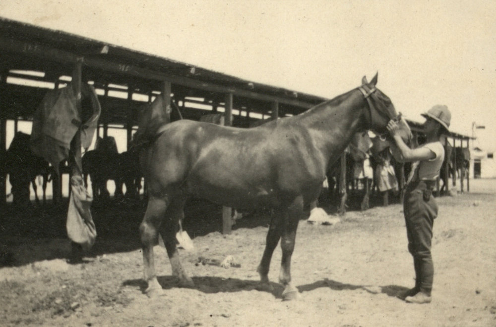 Photo from page 09 of album WWI Photograph Album - New Zealand, Egypt and Gallipoli