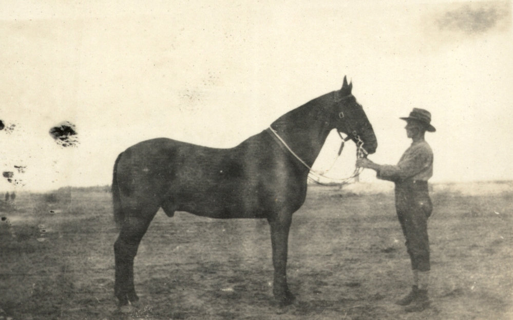 Photo from page 10 of album WWI Photograph Album - New Zealand, Egypt and Gallipoli