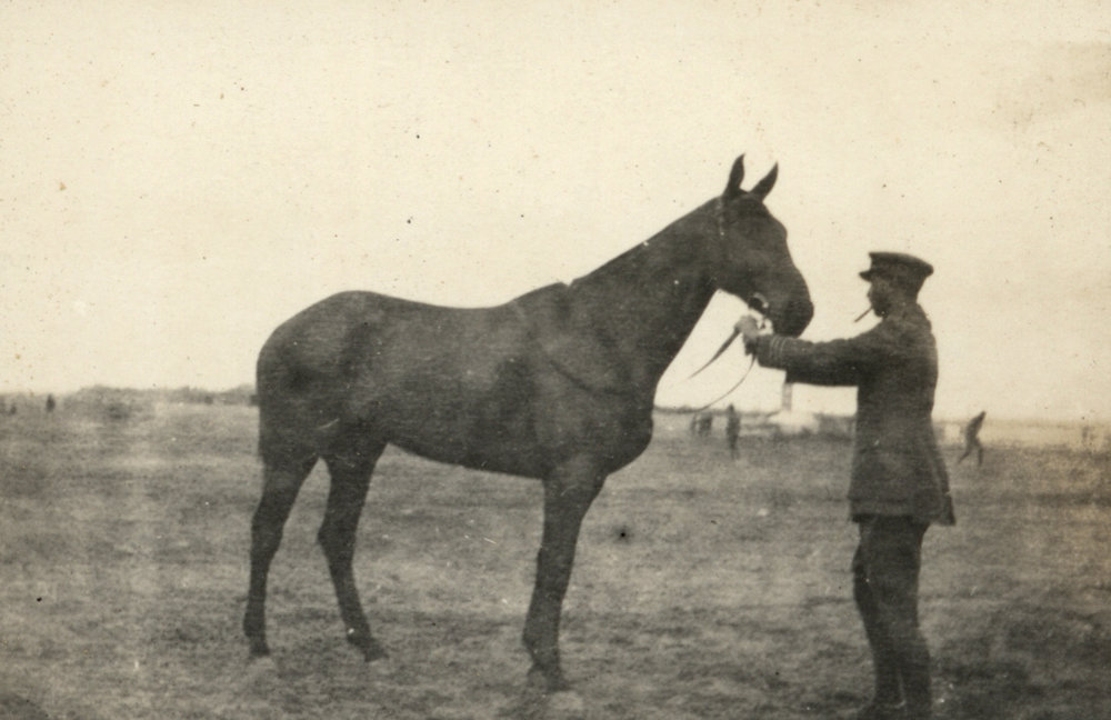 Photo from page 10 of album WWI Photograph Album - New Zealand, Egypt and Gallipoli