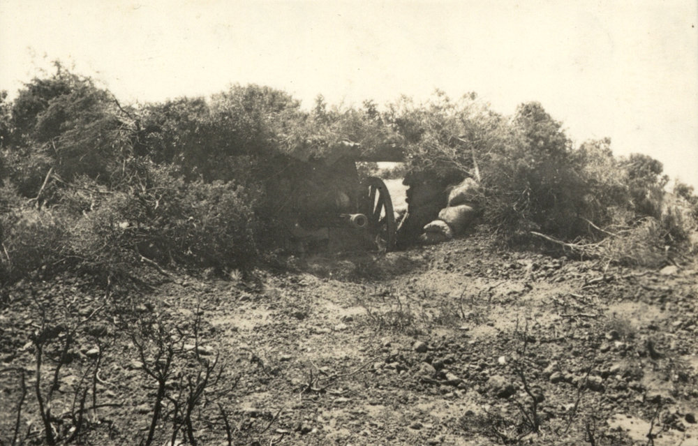 Photo from page 11 of album WWI Photograph Album - New Zealand, Egypt and Gallipoli