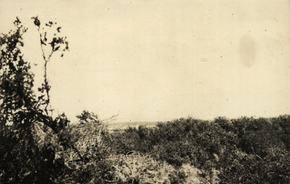 Photo from page 11 of album WWI Photograph Album - New Zealand, Egypt and Gallipoli