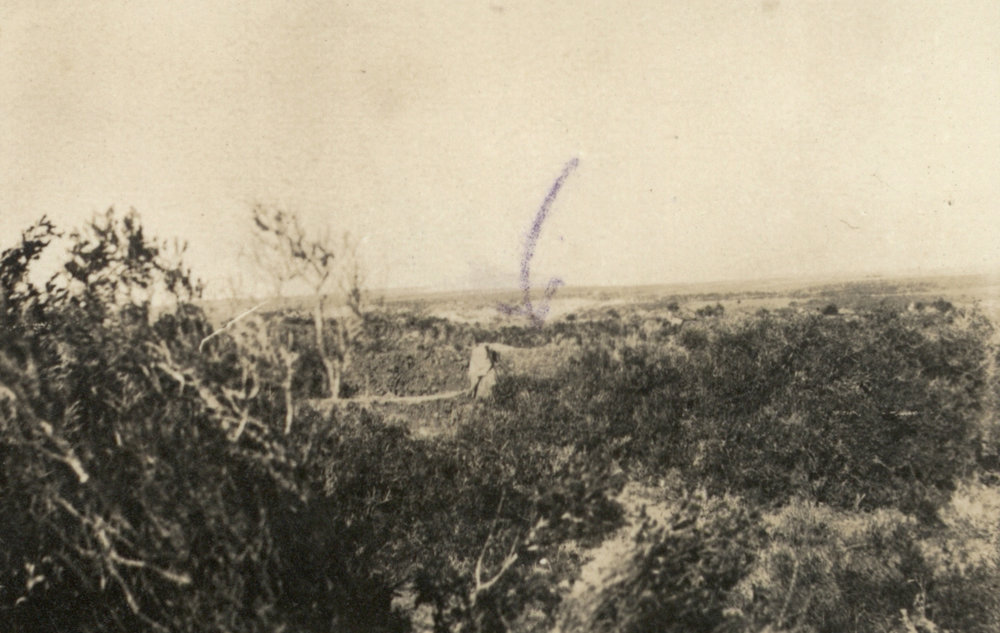 Photo from page 11 of album WWI Photograph Album - New Zealand, Egypt and Gallipoli