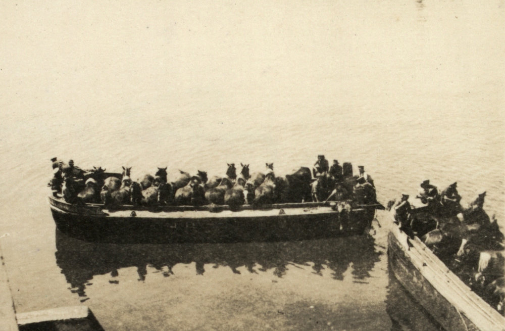 Photo from page 12 of album WWI Photograph Album - New Zealand, Egypt and Gallipoli