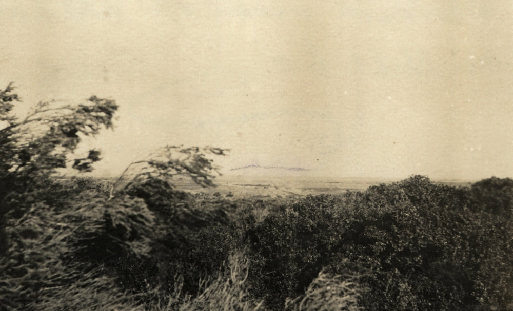 Photo from page 13 of album WWI Photograph Album - New Zealand, Egypt and Gallipoli