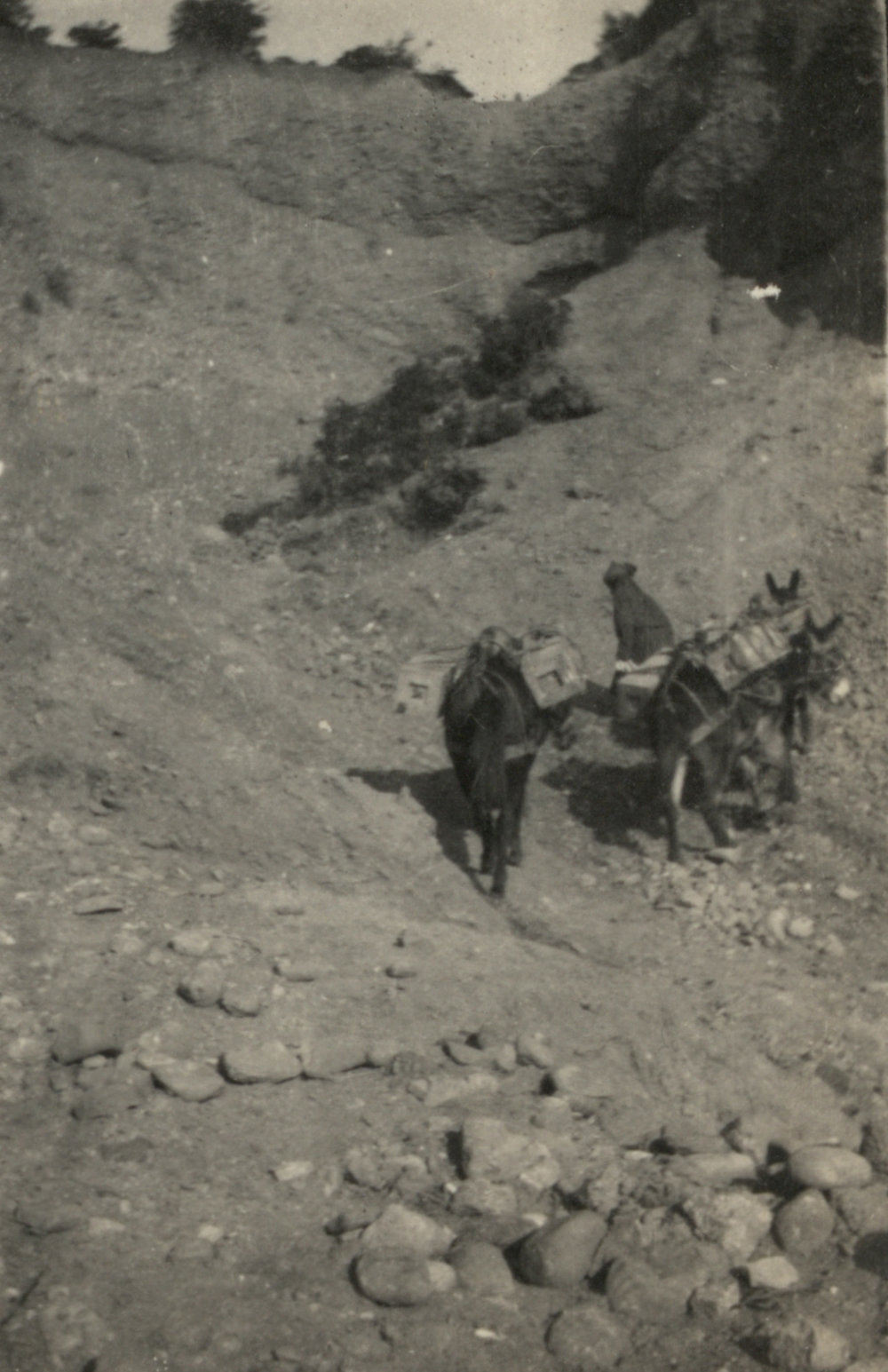 Photo from page 13 of album WWI Photograph Album - New Zealand, Egypt and Gallipoli