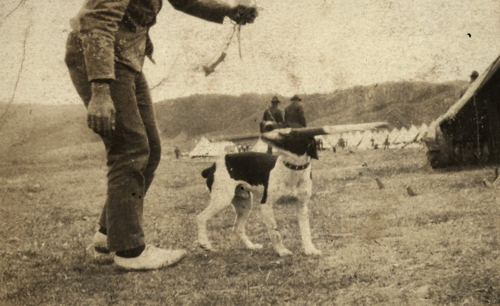 Photo from page 03 of album WWI Photograph Album - New Zealand, Egypt, Gallipoli, France and England.