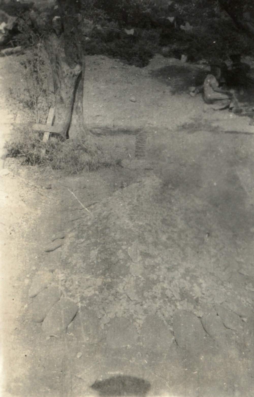 Photo from page 06 of album WWI Photograph Album - New Zealand, Egypt, Gallipoli, France and England.