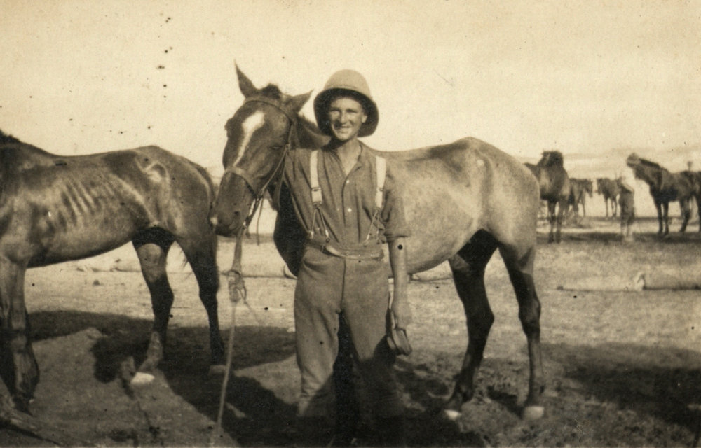 Photo from page 07 of album WWI Photograph Album - New Zealand, Egypt, Gallipoli, France and England.