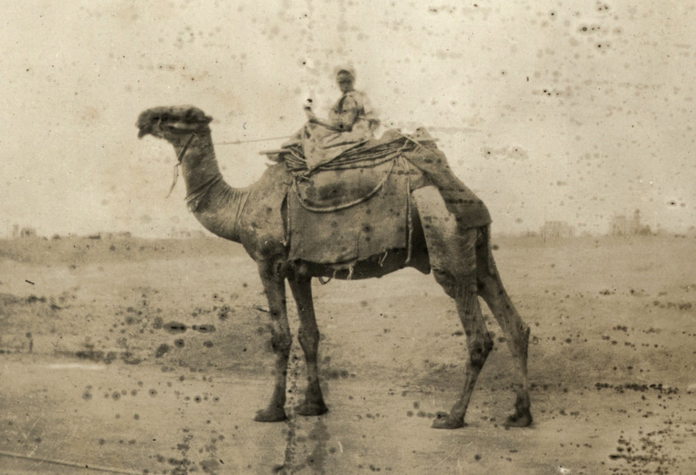 Photo from page 07 of album WWI Photograph Album - New Zealand, Egypt, Gallipoli, France and England.