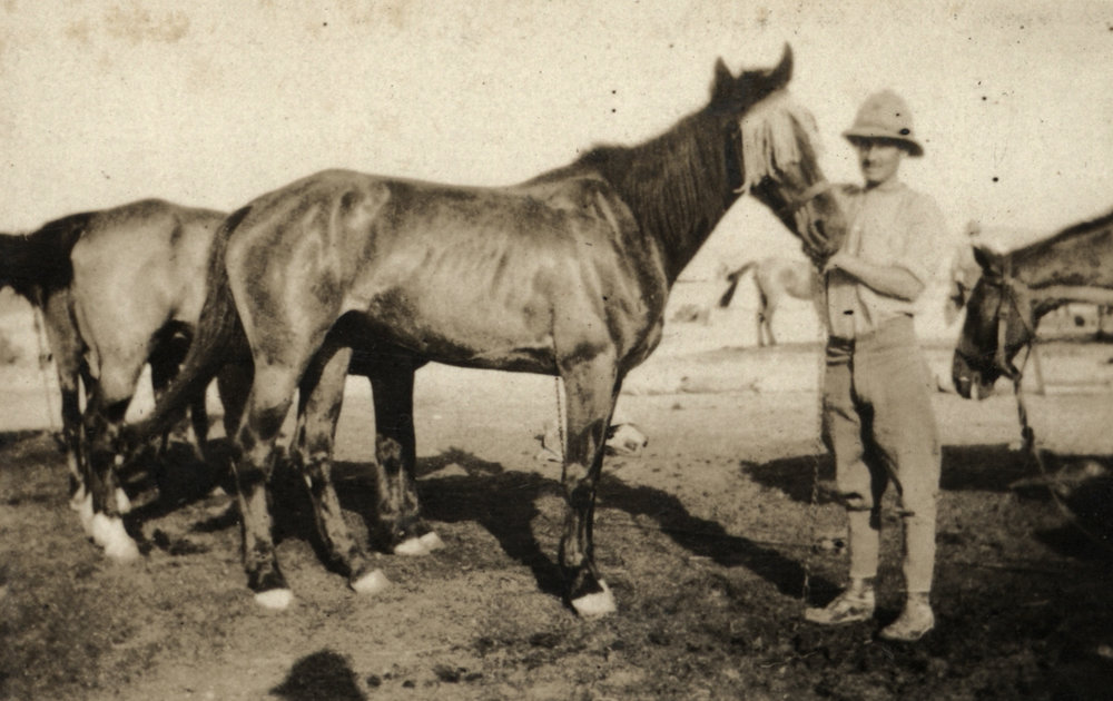 Photo from page 07 of album WWI Photograph Album - New Zealand, Egypt, Gallipoli, France and England.