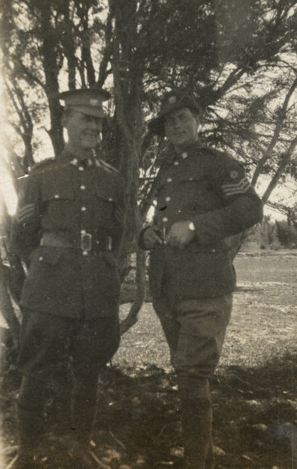 Photo from page 13 of album WWI Photograph Album - New Zealand, Egypt, Gallipoli, France and England.