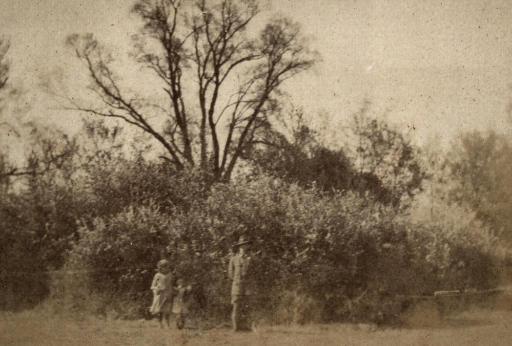 Photo from page 16 of album WWI Photograph Album - New Zealand, Egypt, Gallipoli, France and England.