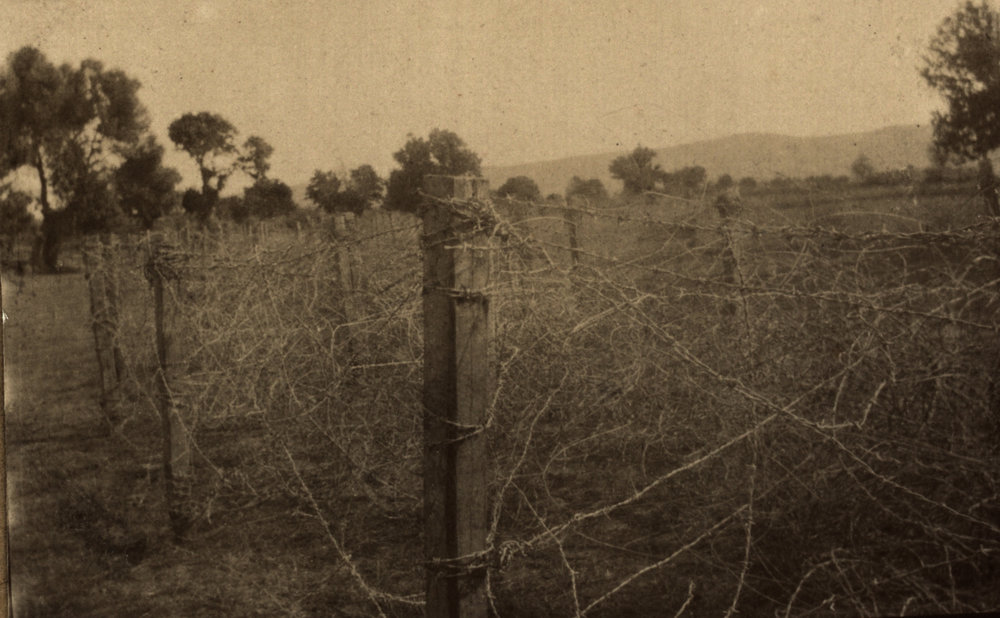 Photo from page 07 of album WWI Photograph Album- Nurses and Medical Services in Egypt and Gallipoli.
