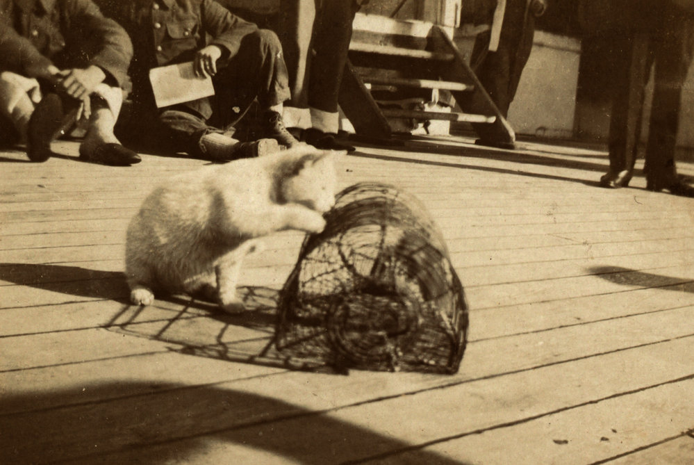 Photo from page 08 of album WWI Photograph Album- Nurses and Medical Services in Egypt and Gallipoli.