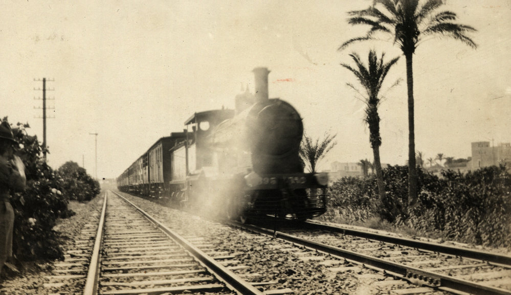 Photo from page 14 of album WWI Photograph Album- Nurses and Medical Services in Egypt and Gallipoli.