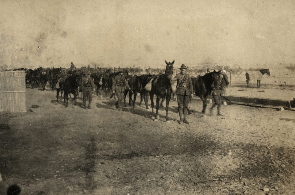 Photo from page 15 of album WWI Photograph Album- Nurses and Medical Services in Egypt and Gallipoli.