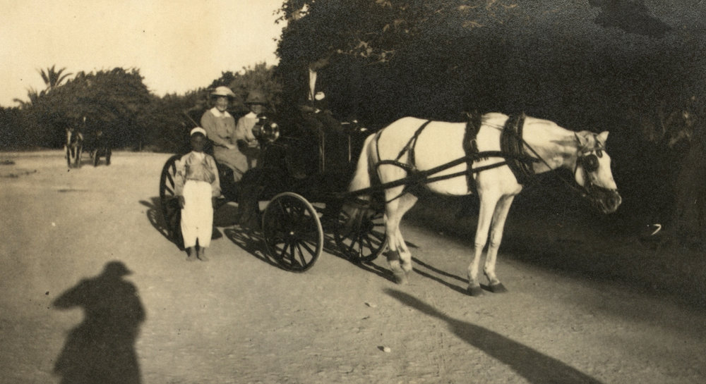Photo from page 15 of album WWI Photograph Album- Nurses and Medical Services in Egypt and Gallipoli.