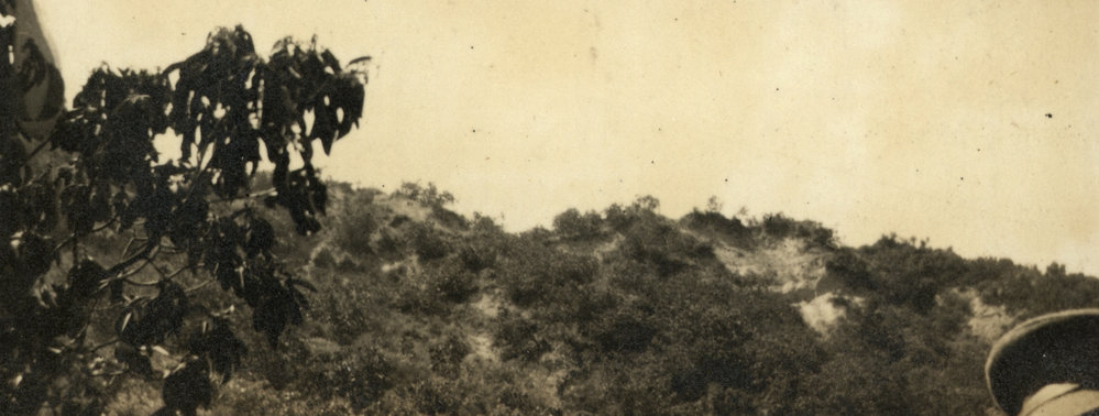 Photo from page 19 of album WWI Photograph Album- Nurses and Medical Services in Egypt and Gallipoli.