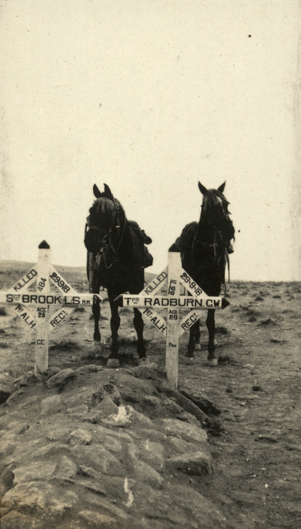 Photo from page 01 of album WWI Photograph Albums- Egypt, Gallipoli, Sinai &amp; Palestine.
