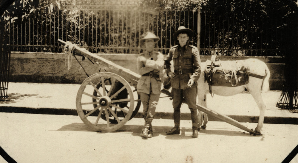 Photo from page 03 of album WWI Photograph Albums- Egypt, Gallipoli, Sinai &amp; Palestine.