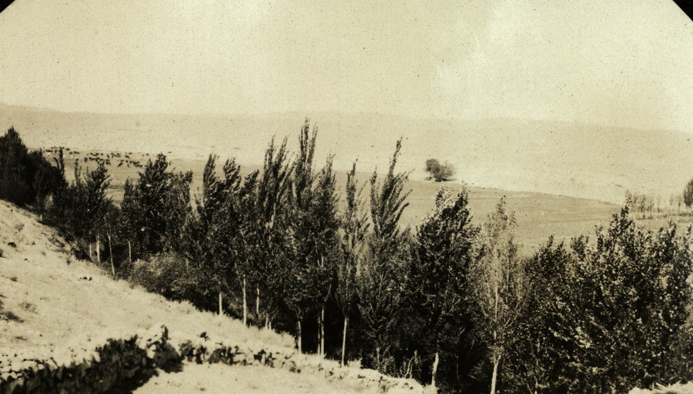 Photo from page 07 of album WWI Photograph Albums- Egypt, Gallipoli, Sinai &amp; Palestine.