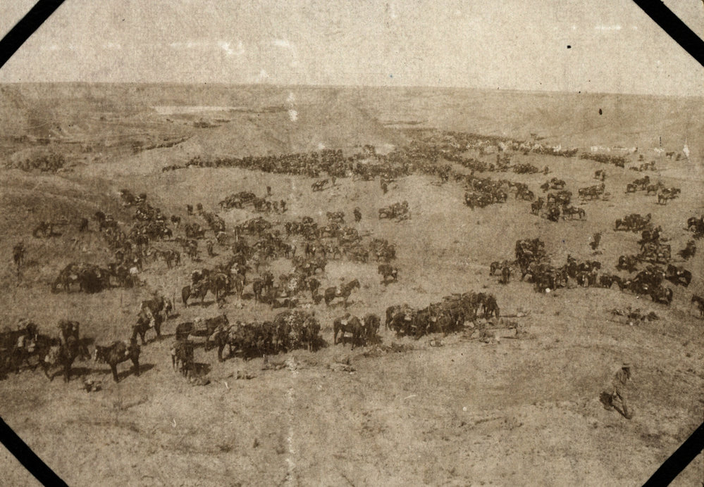 Photo from page 07 of album WWI Photograph Albums- Egypt, Gallipoli, Sinai &amp; Palestine.