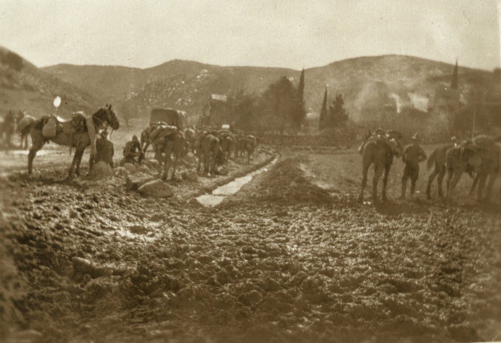 Photo from page 08 of album WWI Photograph Albums- Egypt, Gallipoli, Sinai &amp; Palestine.