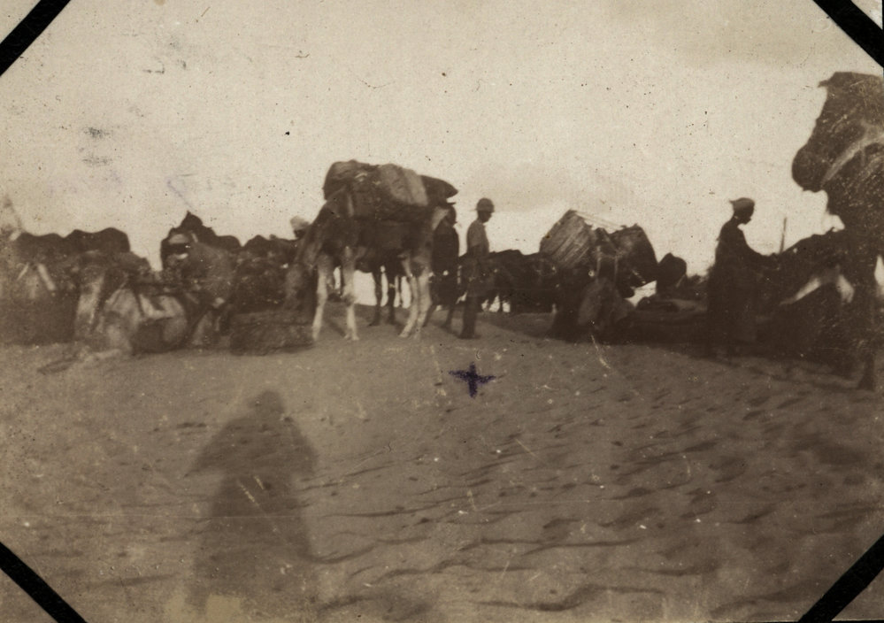 Photo from page 11 of album WWI Photograph Albums- Egypt, Gallipoli, Sinai &amp; Palestine.