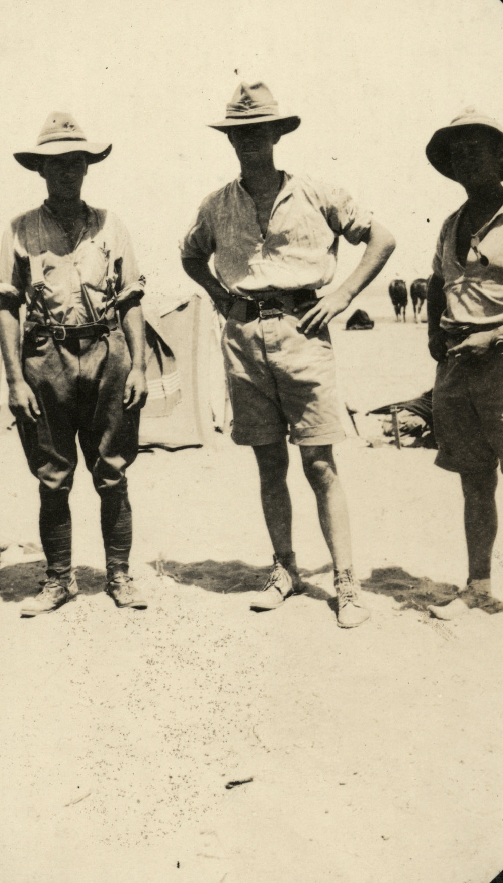 Photo from page 12 of album WWI Photograph Albums- Egypt, Gallipoli, Sinai &amp; Palestine.