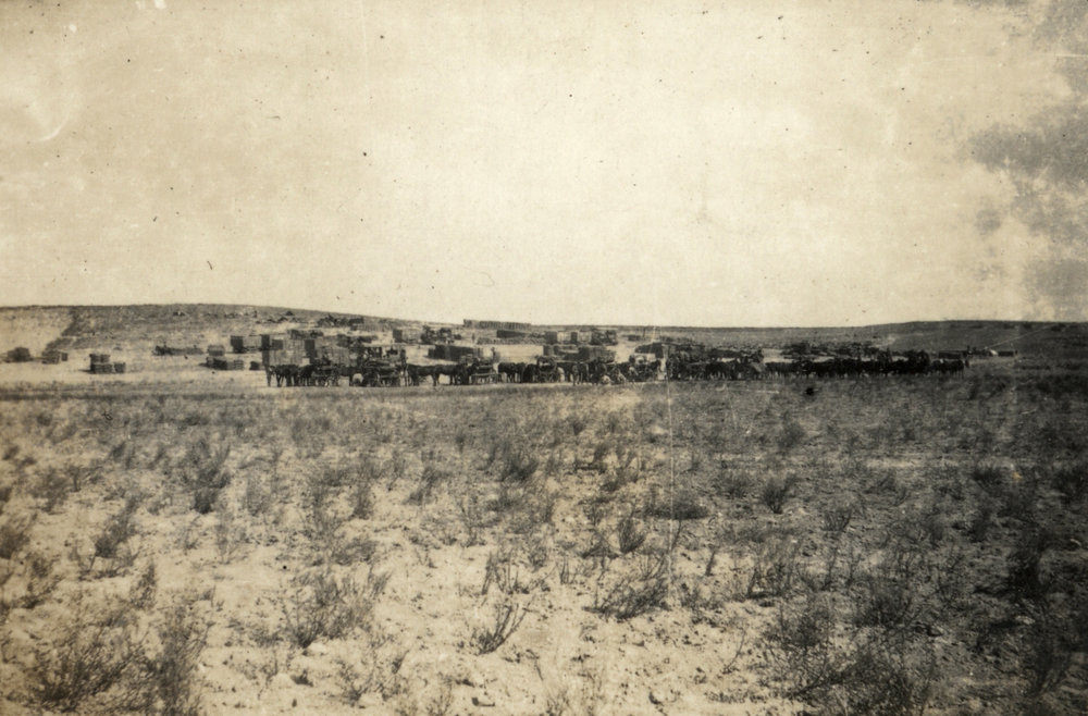 Photo from page 12 of album WWI Photograph Albums- Egypt, Gallipoli, Sinai &amp; Palestine.