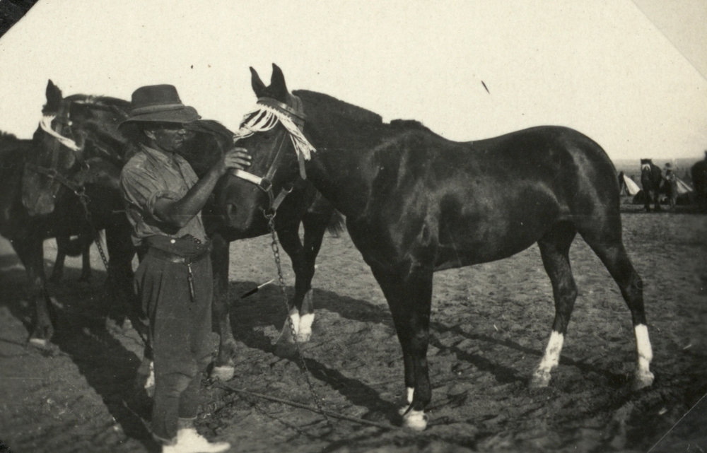 Photo from page 13 of album WWI Photograph Albums- Egypt, Gallipoli, Sinai &amp; Palestine.