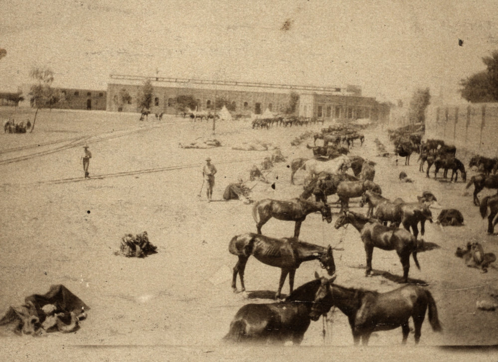 Photo from page 13 of album WWI Photograph Albums- Egypt, Gallipoli, Sinai &amp; Palestine.