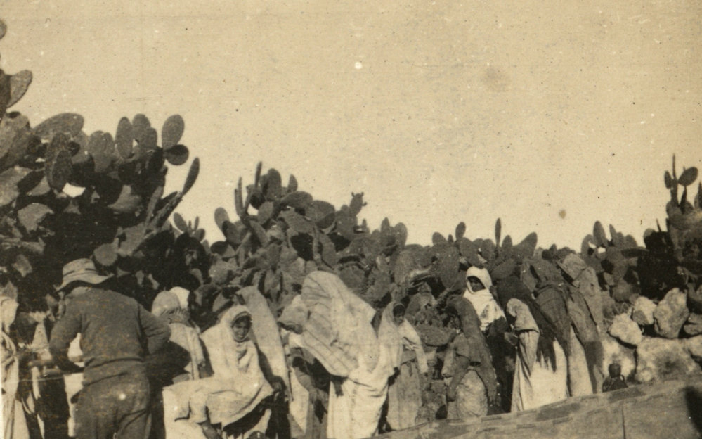 Photo from page 13 of album WWI Photograph Albums- Egypt, Gallipoli, Sinai &amp; Palestine.