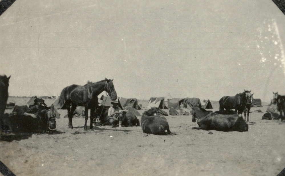Photo from page 14 of album WWI Photograph Albums- Egypt, Gallipoli, Sinai &amp; Palestine.