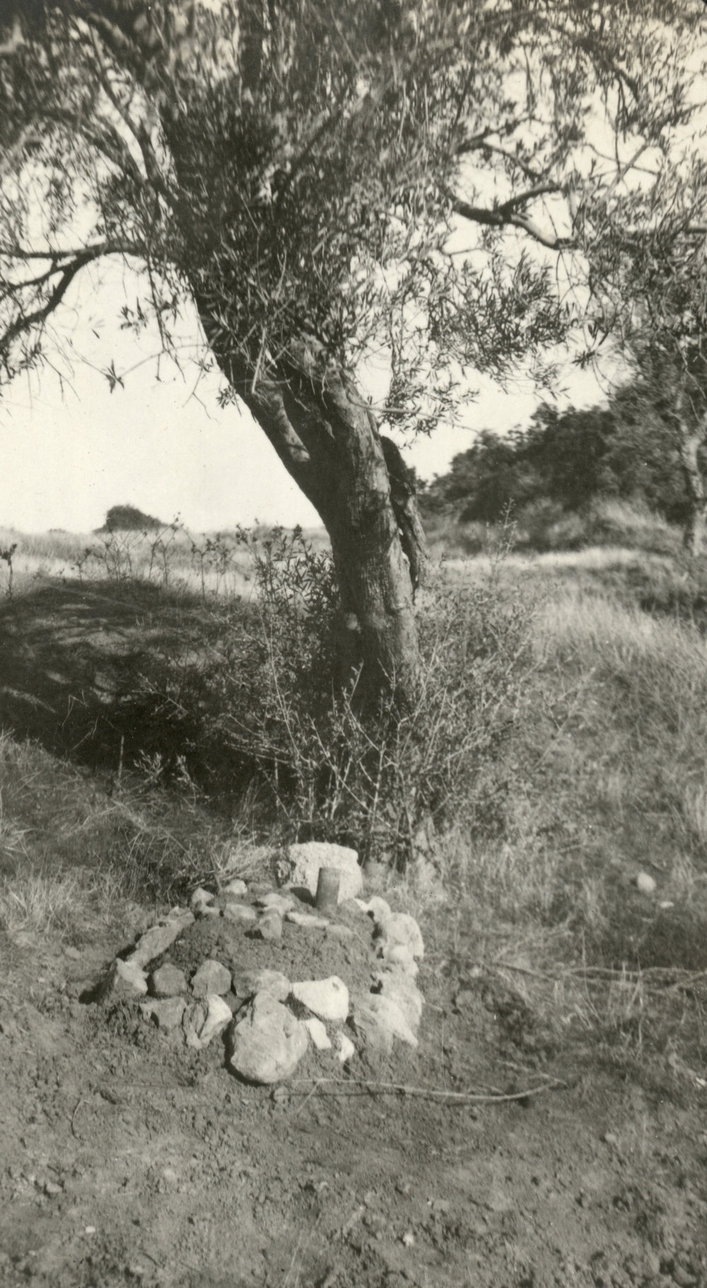 Photo from page 15 of album WWI Photograph Albums- Egypt, Gallipoli, Sinai &amp; Palestine.
