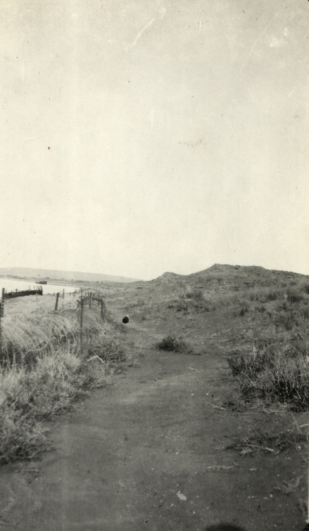 Photo from page 15 of album WWI Photograph Albums- Egypt, Gallipoli, Sinai &amp; Palestine.