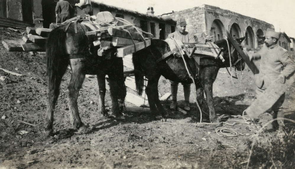 Photo from page 16 of album WWI Photograph Albums- Egypt, Gallipoli, Sinai &amp; Palestine.