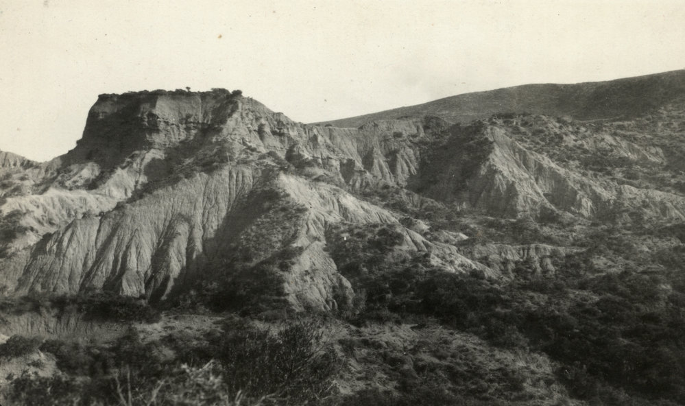 Photo from page 16 of album WWI Photograph Albums- Egypt, Gallipoli, Sinai &amp; Palestine.