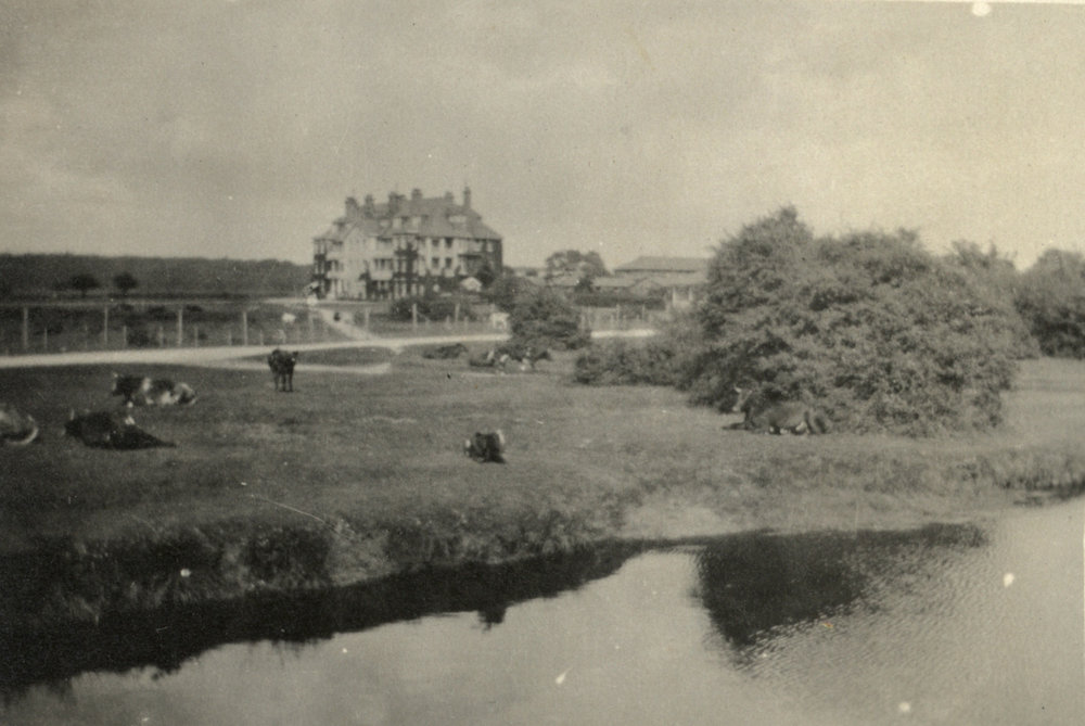 Photo from page 07 of album WWI Photograph Album- Nurses and Medical Services in England.