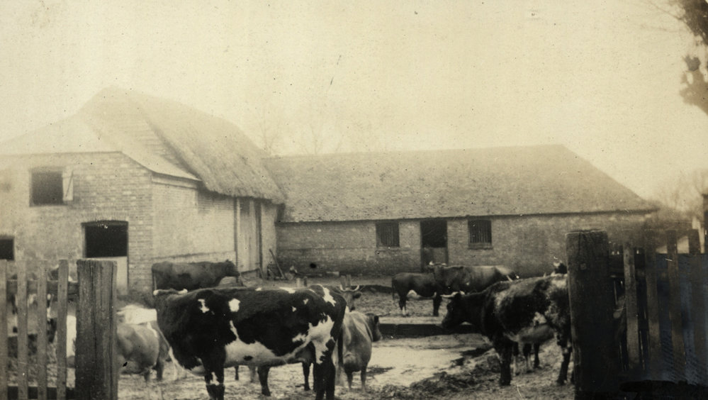 Photo from page 07 of album WWI Photograph Album- Nurses and Medical Services in England.