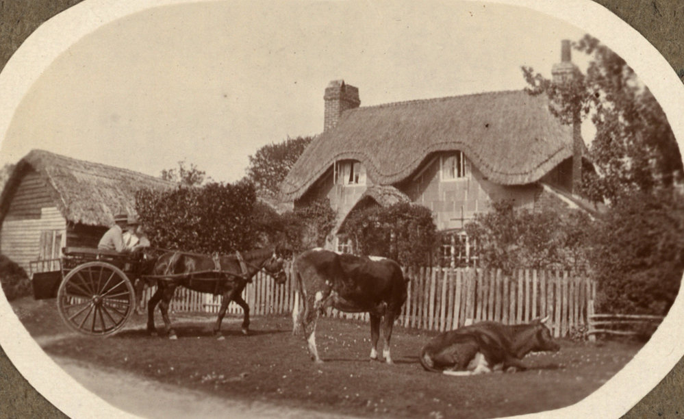 Photo from page 10 of album WWI Photograph Album- Nurses and Medical Services in England.