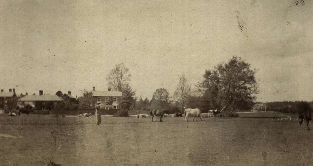 Photo from page 14 of album WWI Photograph Album- Nurses and Medical Services in England.