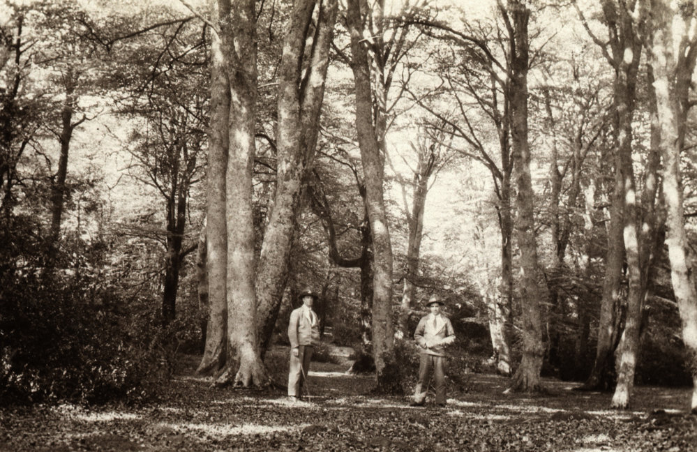 Photo from page 16 of album WWI Photograph Album- Nurses and Medical Services in England.