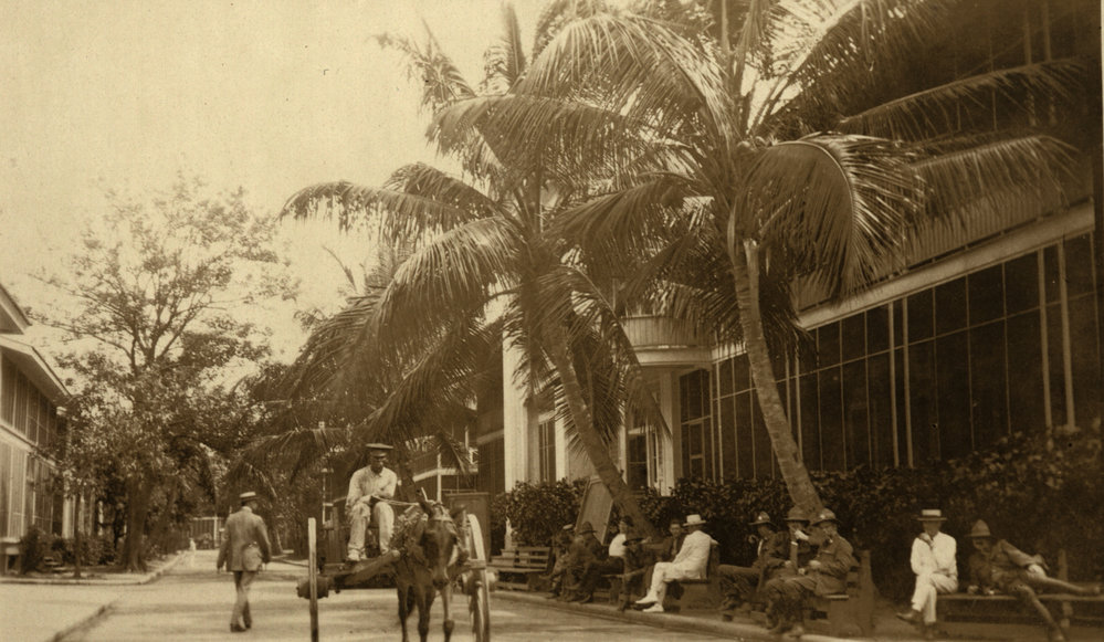 Photo from page 32 of album WWI Photograph Album- Nurses and Medical Services in England.