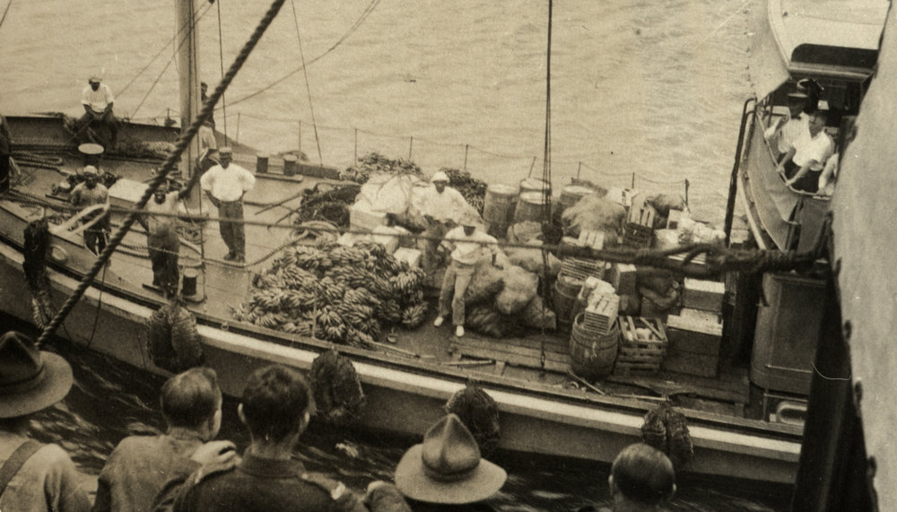 Photo from page 62 of album WWI Photograph Album- Nurses and Medical Services in England.