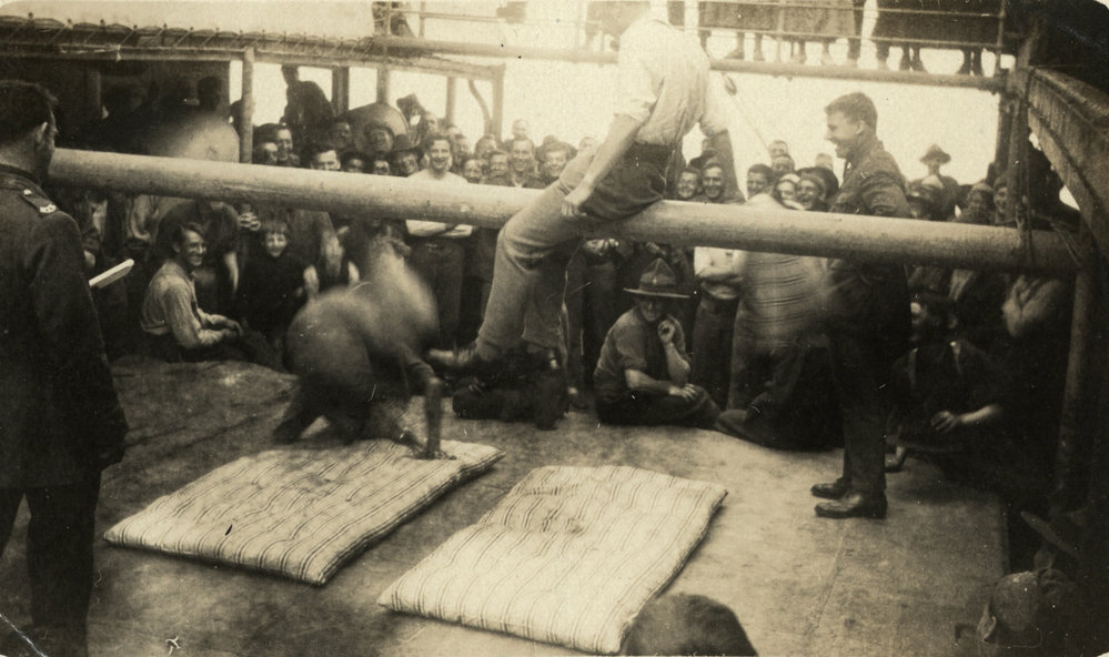 Photo from page 65 of album WWI Photograph Album- Nurses and Medical Services in England.